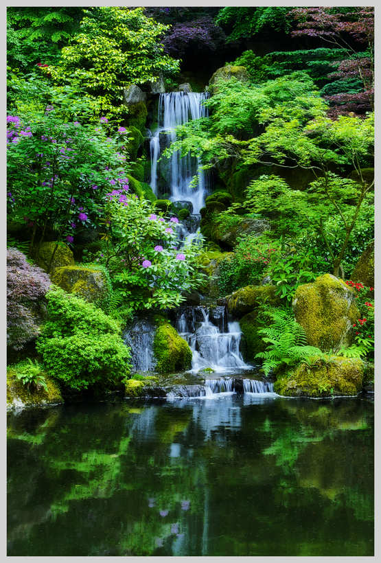 Japanese Gardens